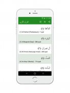 Al Quran Lite Offline 30 Juz Terjemah Indonesia screenshot 2