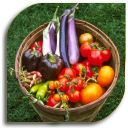 Vegetable Gardening (Guide) Icon