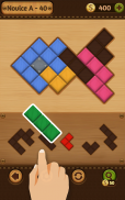 Block Puzzle Games: Wood Collection screenshot 3