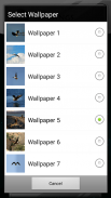 Eagle Live Wallpapers screenshot 7