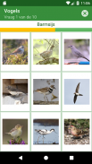 Vogels screenshot 9
