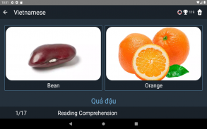 Vietnamese Language Tests screenshot 22