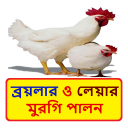 ব্রয়লার ও লেয়ার মুরগি পালন Icon