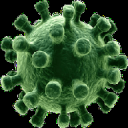 Corona Virus Info Icon