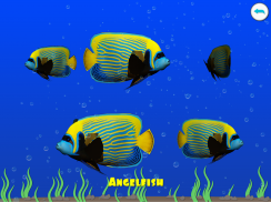 Dancing fishes 3D Coloring App screenshot 10