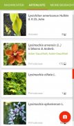 Pl@ntNet Pflanzenbestimmung screenshot 3