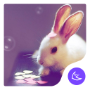 Cartoon Kawaii Pink Rabbit APUS Launcher theme Icon