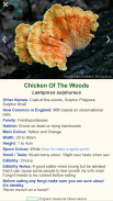 Shroomify - UK Mushroom ID screenshot 3