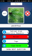 Tree Quiz Game - 2020 screenshot 4