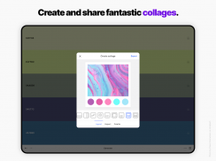 Coolors screenshot 14