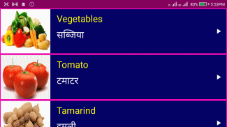 Learn English From Hindi screenshot 6