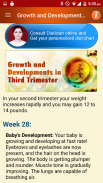 Pregnancy Tips Diet Nutrition screenshot 2