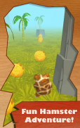 Hamster Dash: 3D Run screenshot 5