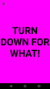 Turn Down For What?! screenshot 0