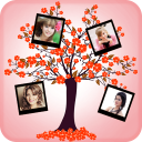 Tree Photo Collage Maker Icon