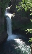 Forest waterfall from a height screenshot 2