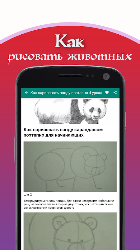 Как рисовать животных: полезные уроки рисования – от начальных до продвинутых