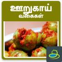 Pickles Recipes Oorugai Tamil