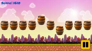 Barrel Bag Game screenshot 3