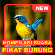 Suara Burung: Pikat & Masteran screenshot 0