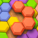 Hexagon Block Puzzle Icon