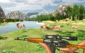 حيوانات الغابة الحقيقية الصيد - لعبة اطلاق النار screenshot 4