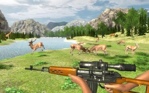 Real Jungle Animals Hunting- Miglior gioco di tiro screenshot 4