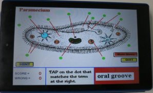 Label that Diagram - Cells screenshot 1