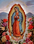 Our Lady of Guadalupe screenshot 2