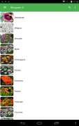 Всё о растениях и цветах (комнатных и садовых) screenshot 2