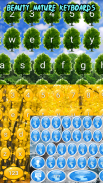 Красочные клавиатуры природы screenshot 0