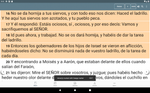 Biblia Reina Valera screenshot 11