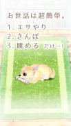 癒しの子犬育成ゲーム〜チワワ編〜 screenshot 1