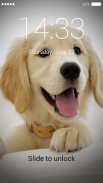 Golden Retriever Lock Screen screenshot 7