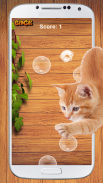 Cat Game - Bubble Pop screenshot 1