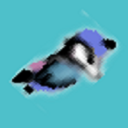 Flappy Badger Icon