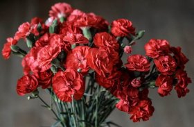 Flores y Rosas Rojas imágenes screenshot 6