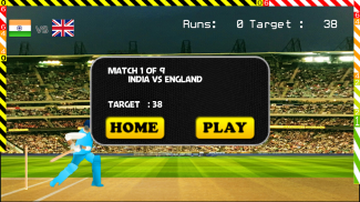 Blokstok Cricket screenshot 10