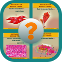 Anatomy Online Quiz: Histology Of Muscle Tissue