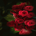 Red Roses Shine LWP Icon