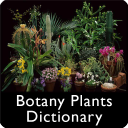 Botany Plants Dictionary