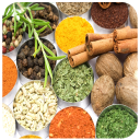 Ayurvedic  Upchar Icon