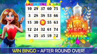 Bingo Play: Bingo Offline Fun screenshot 5