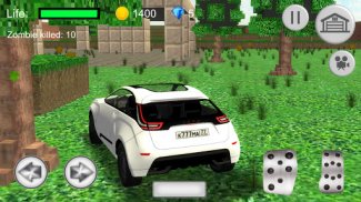 Steve Lada X-Ray Car Simulator screenshot 3