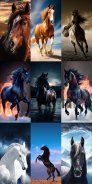 Horse Wallpapers HD screenshot 5