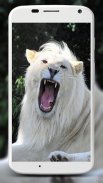 White Lion Wallpapers screenshot 5