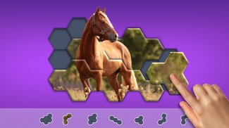 Hexágonos Hexa Jigsaw Puzzle™ screenshot 14