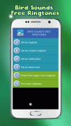 Bird Sounds Free Ringtones screenshot 3