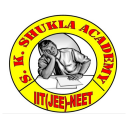 SK Shukla Academy