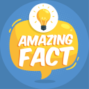 Did You Know Facts Icon